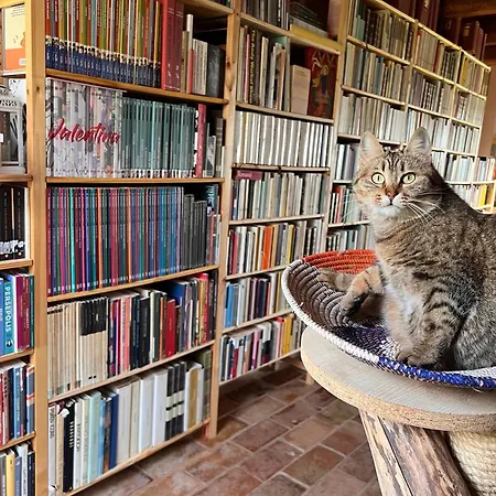 Dom wakacyjny The Bookhouse Bb