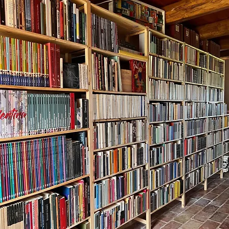 Dom wakacyjny The Bookhouse Bb *